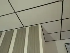 Amateur Best live sex cam show of caitlingomez0