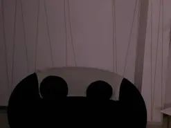 Amateur Free Live Porn of AmbarOwens