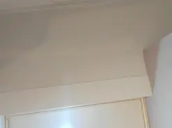 Amateur Free Porn Cam of AlmaStone