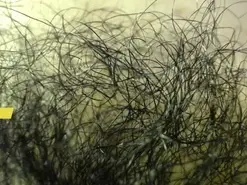 Amateur Live Porn of Amber_Naughtyx