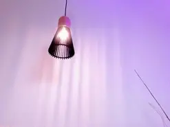 Amateur Nude Webcam of NoraDaSilva