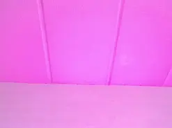 Amateur Adult Video Chat of Amyj
