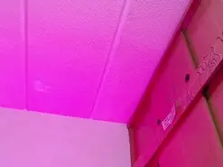 Amateur Watch Live Sex Cams of Amyj