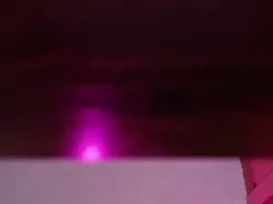 Amateur Best Webcam of Amyj