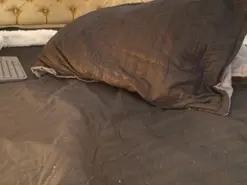 Amateur Sex Cam of rosse_princes