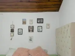 Amateur Sex Chat of Star_briana
