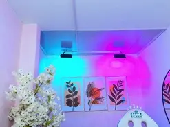 Amateur Free Live Porn of Dafne_huges