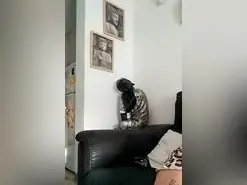 Amateur Sex Cam of Morenitoymorena