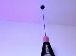 Amateur Sex Chat of AbbieJones