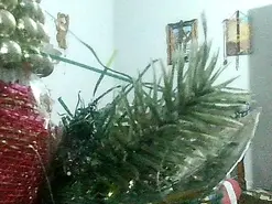 Amateur Adult Webcam of dirtymatureee