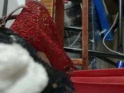 Amateur Adult Webcams of SharonnZula