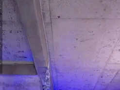 Amateur Free Live Porn of taniaqueen19
