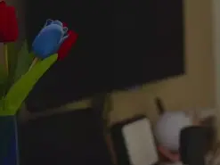 Amateur Live Sex of anabelcurvy