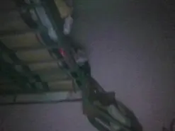 Amateur Best Webcam of chazziah23