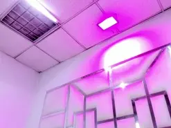 Amateur Live Porn of ZoeSwam