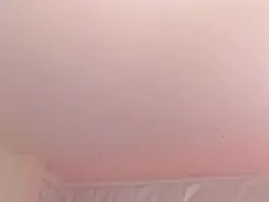 Amateur Free Live Porn of red_moon_1