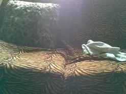 Amateur Live Porn of colita