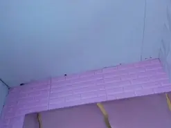 Amateur Live Sex of Arianna_Rissos