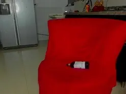 Amateur Live Sex of Fox_couple