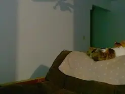 Amateur Adult Video Chat of Silent_Petite