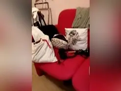 Amateur Live Porn of Anita2023