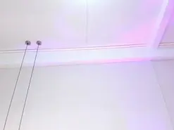 Amateur Free Porn Cam of JupiterFox