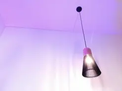 Amateur Adult Webcam of JupiterFox