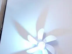 Amateur Adult Webcam of VenusStone
