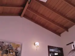 Amateur Sex Cam of AllyJensen