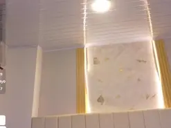 Amateur Sex Cam of kima1a