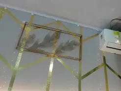 Amateur Best Webcam of Lola_saenz