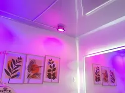 Amateur Live Porn of Leia_laurent
