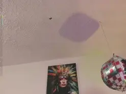 Amateur Live Porn of francheskapower