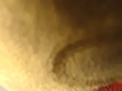 Amateur Sex Cam of miller-