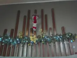 Amateur Live Sex of ashley_jonee