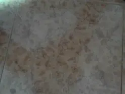 Amateur Best live sex cam show of Quilloven