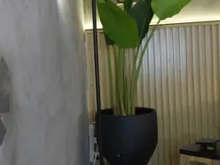 Amateur Sex Cam of nina_soul