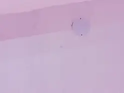 Amateur Sex Cam of AndreaSweet2