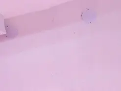 Amateur Live Sex of AndreaSweet2