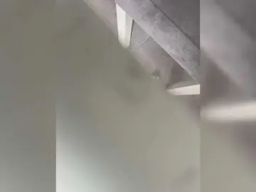 Bongacams Adult Webcam of lucygirl-