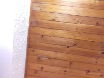 Bongacams Sex Cam of Nina-bae