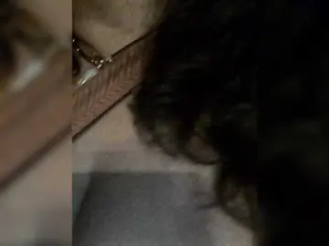 Bongacams Adult Video Chat of Meganny2023