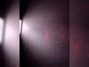 Bongacams Adult Webcam of MaksiMash214