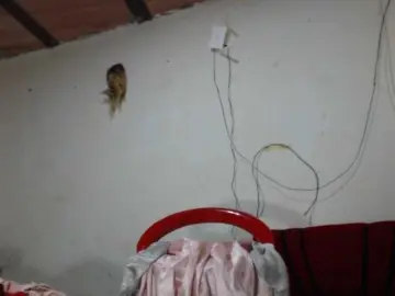 Bongacams Live Sex of Bunnynasty888