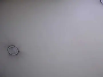 Bongacams Live Porn of Domincka