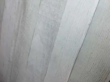 Bongacams Private Sex Chat of Asiankitties