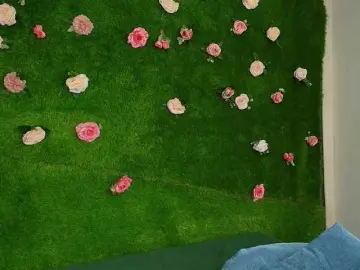 Bongacams Adult Webcams of HugeTittiess