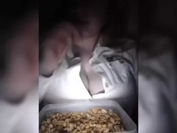 Bongacams Adult Webcams of DemonenokAda