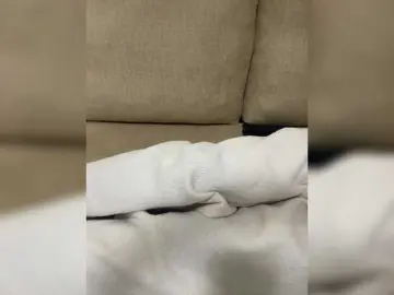 Bongacams Adult Webcams of Misscreamerr