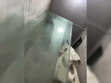 Bongacams Adult Webcam of karlacortes1